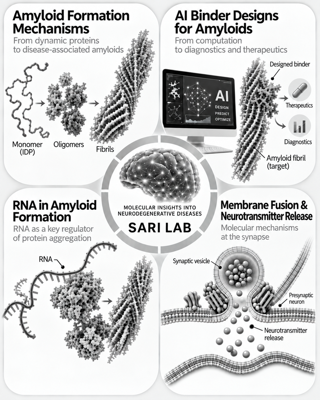 Sari Lab research overview showing amyloid formation mechanisms, AI binder designs for amyloids, RNA in amyloid formation, and membrane fusion mechanisms in neurotransmitter release